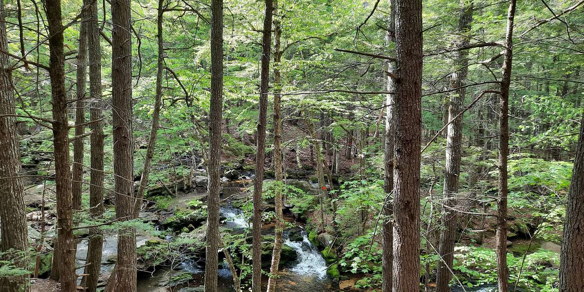 Featured photo of Pease Brook
