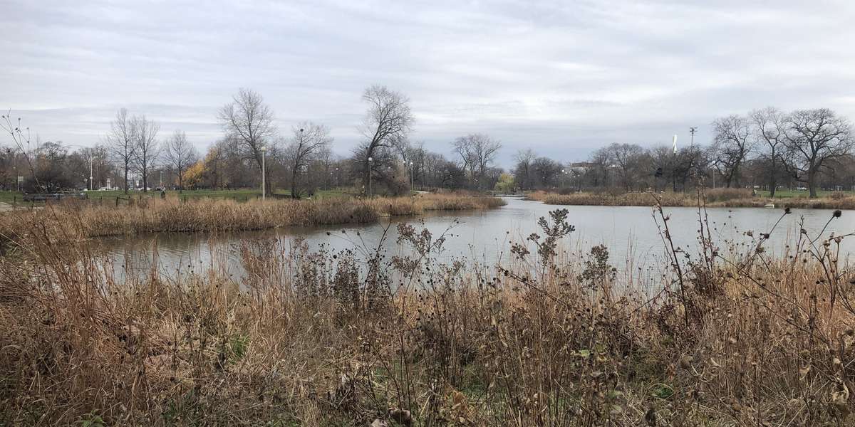 Featured photo of Humboldt Park Natural Area