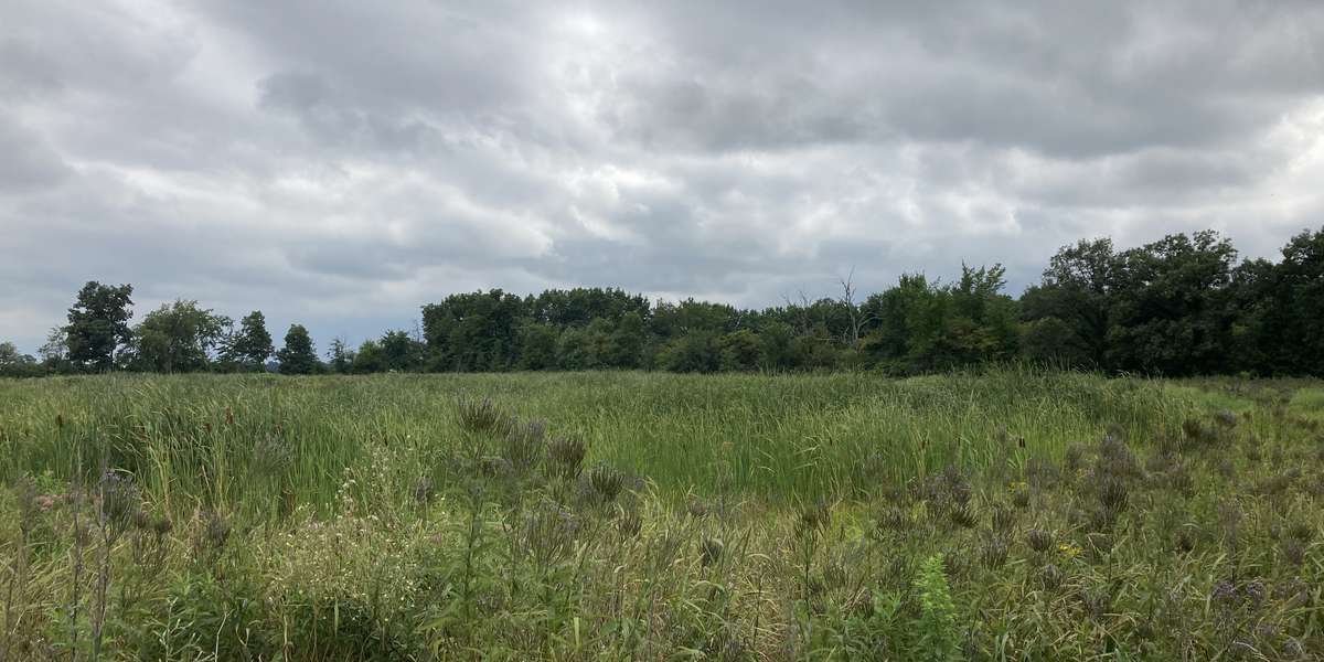 Featured photo of Fruth Wetland Nature Preserve 
