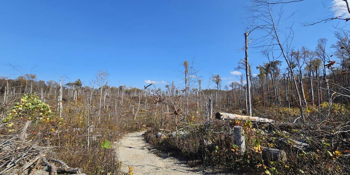 Wolf Cave Nature Preserve