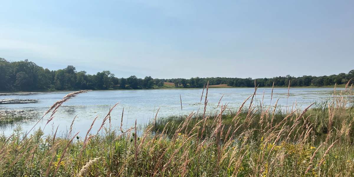 Crow-Hassan - Prairie Lake