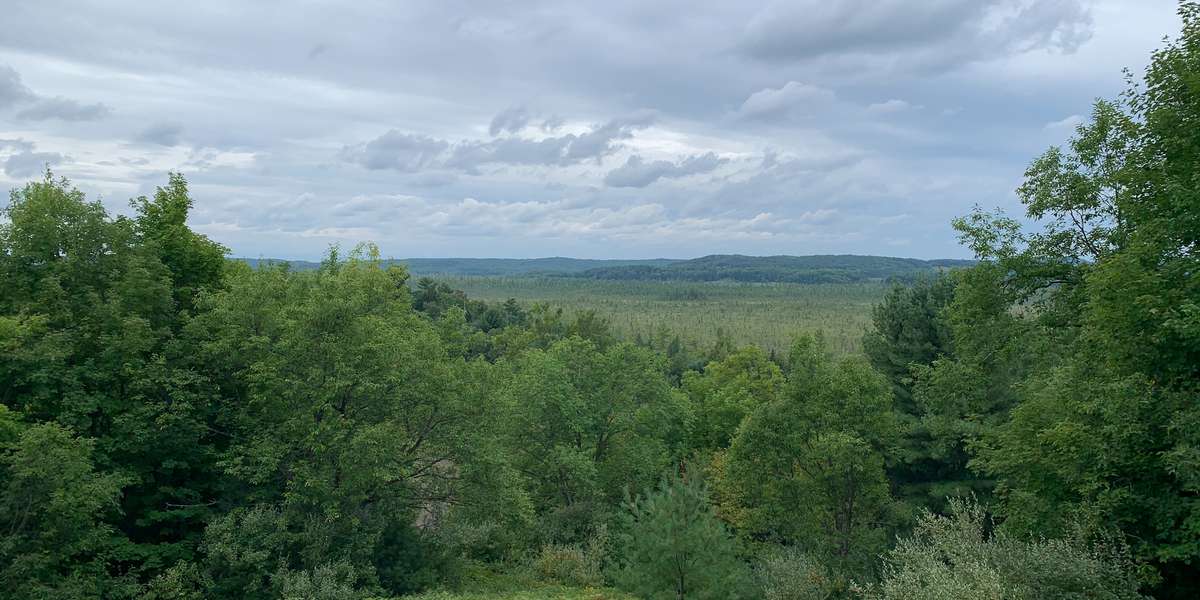 Cedar River Lookout