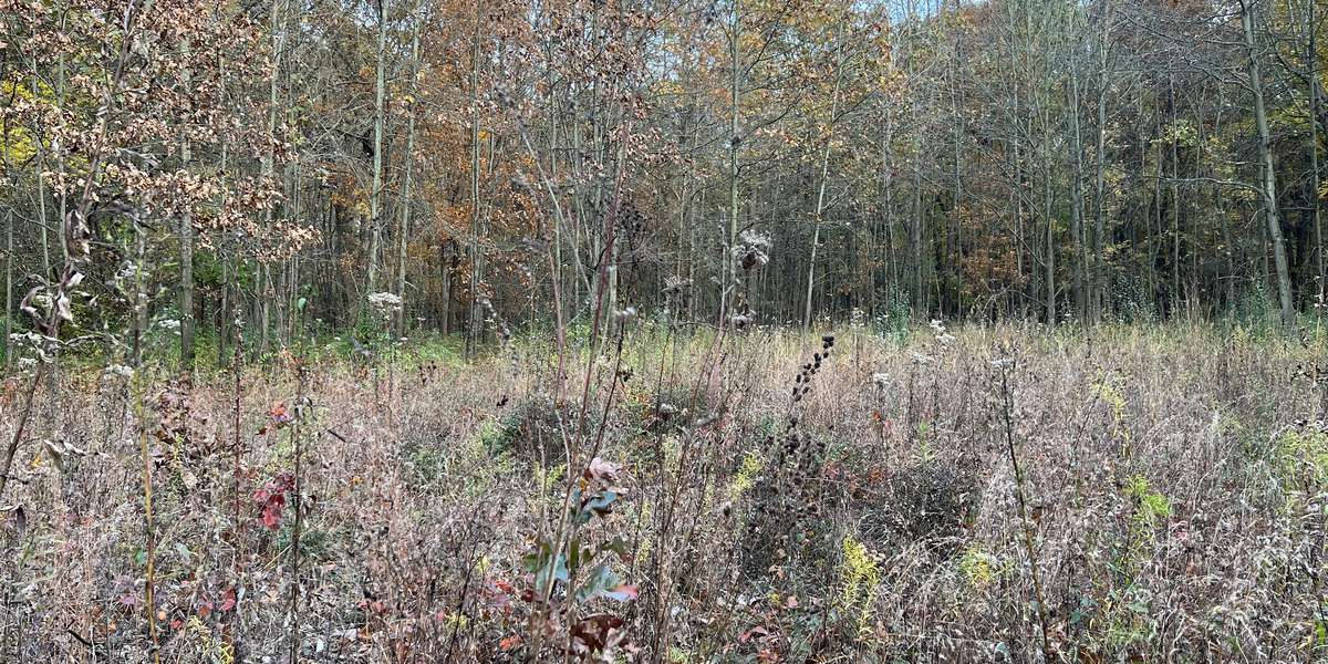 Wildlife Loop Trail Ojibway Park