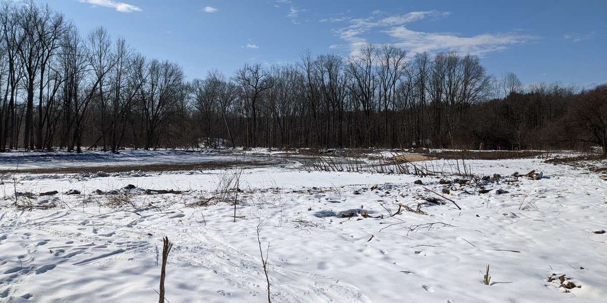 Jackson Field stream restoration project