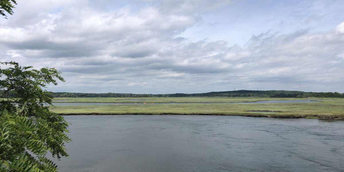 Featured photo of Scarborough Marsh-Western View