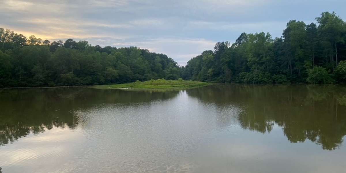 Norwood Creek Bridge