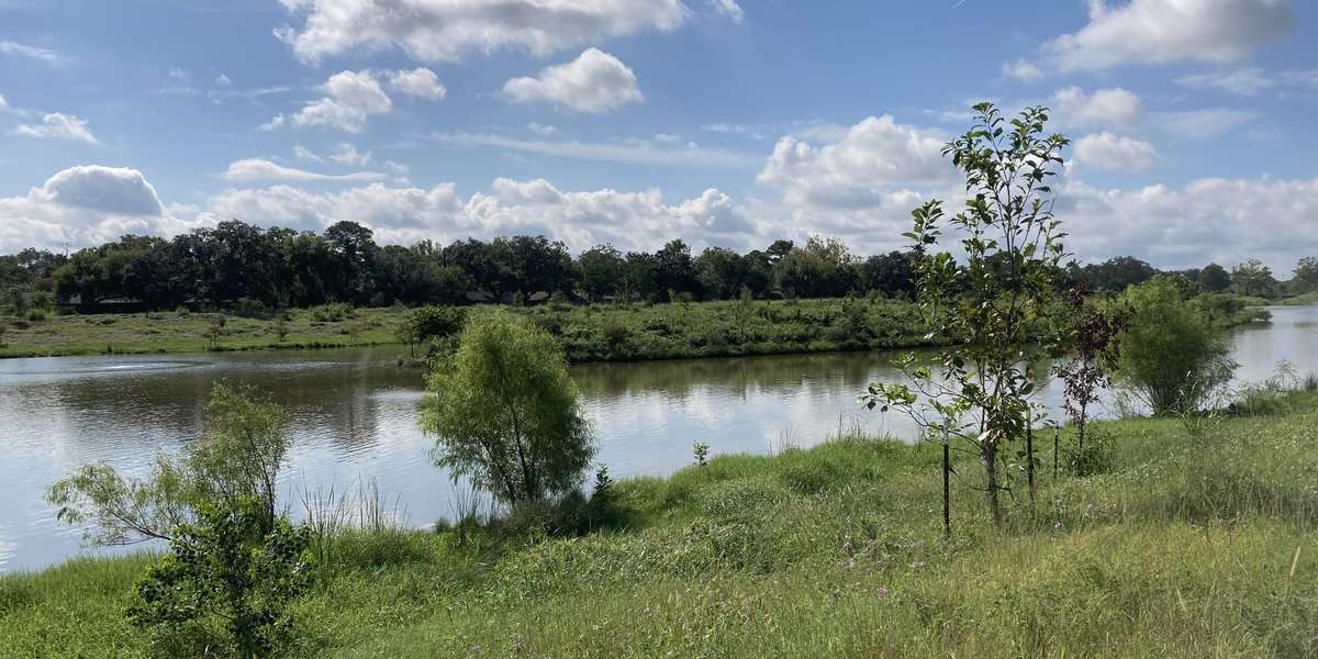 Habitat Island on Section 4