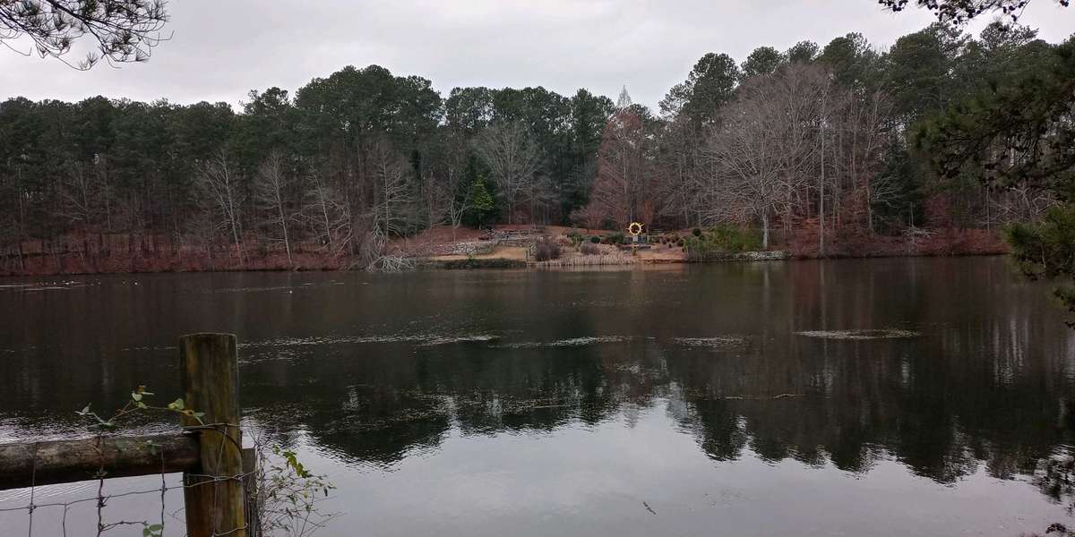 Featured photo of Sims Lake Park