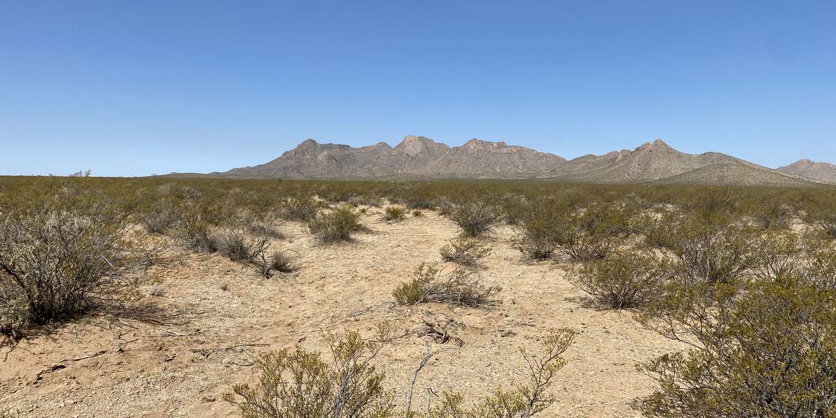 Featured photo of Chihuahuan Desert Nature Park Remediation Experiment