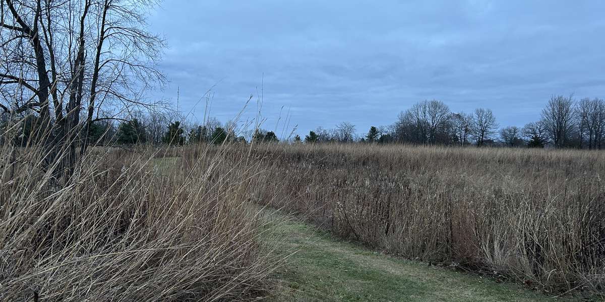 Landscape Trail View