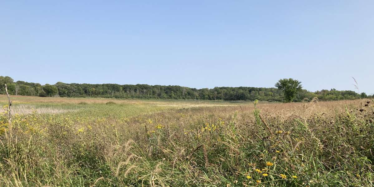 Baker Park Reserve – Southwest Marsh and Prairie