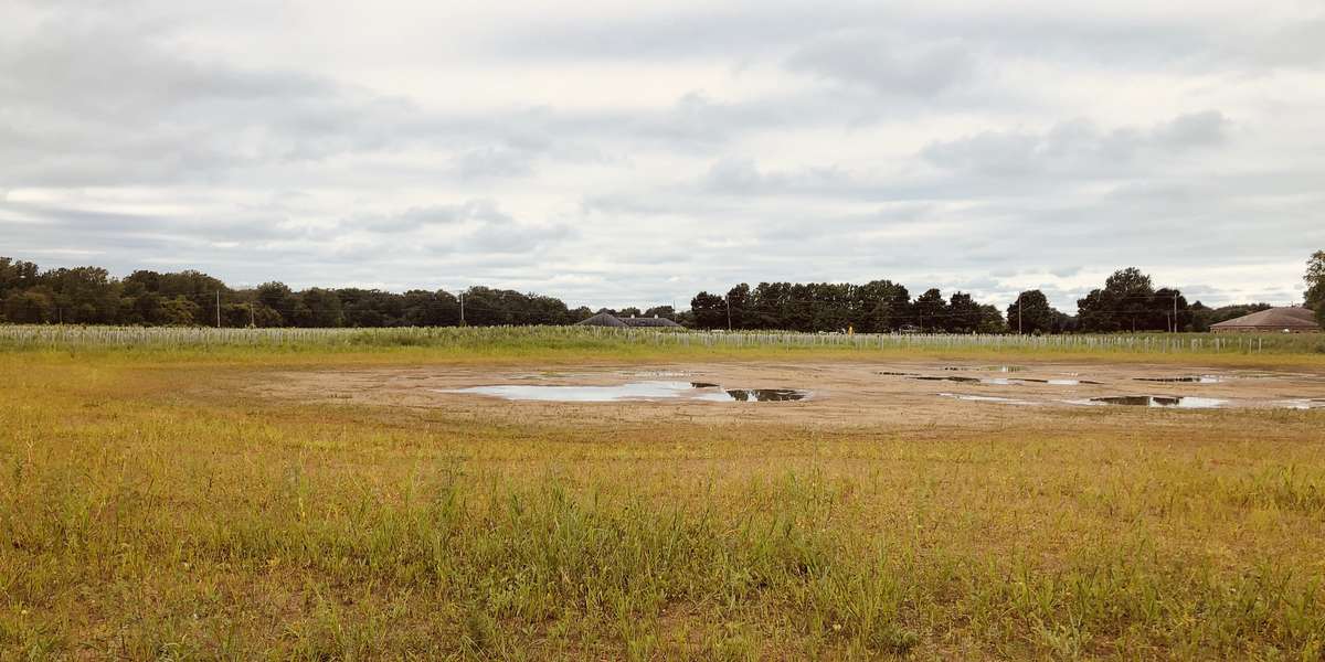 Featured photo of Oak Openings Preserve Wetland Restoration