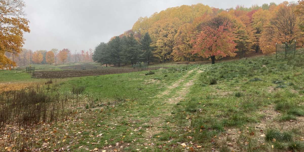 Offield Family Viewlands Restoration