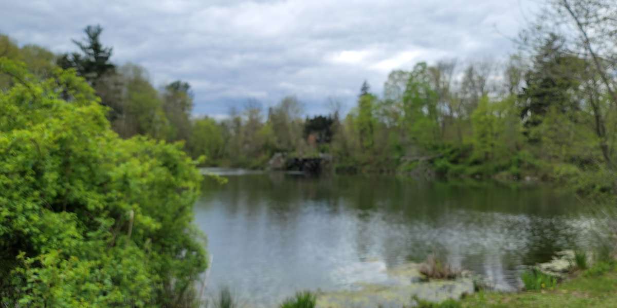 Featured photo of Otter Lake