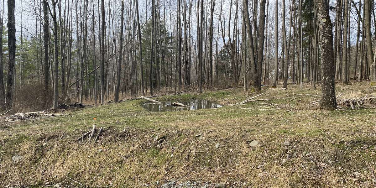 Featured photo of Nuthatch Hollow Creek Restoration & Vernal Pool