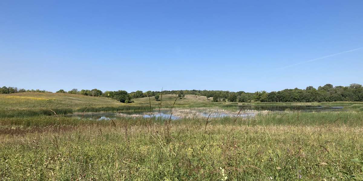 Lake Rebecca - Kasma Marsh