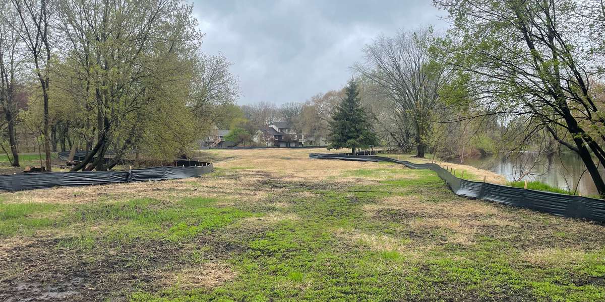 Green Tree Island Prairie Restoration 2