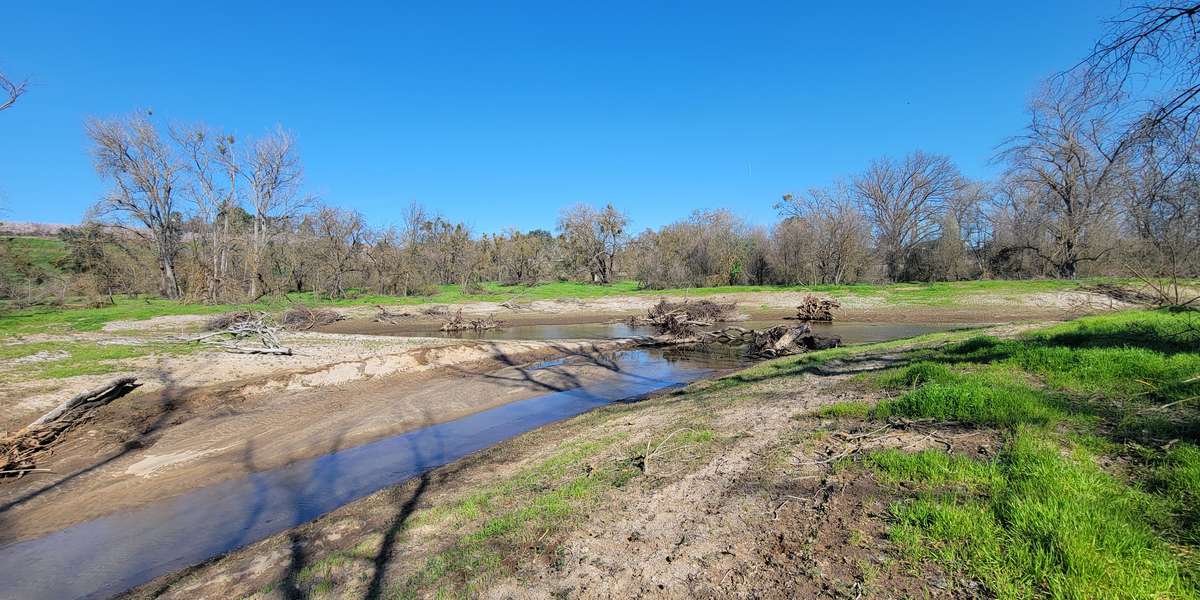 Kerr Park, Side Channel Habitat