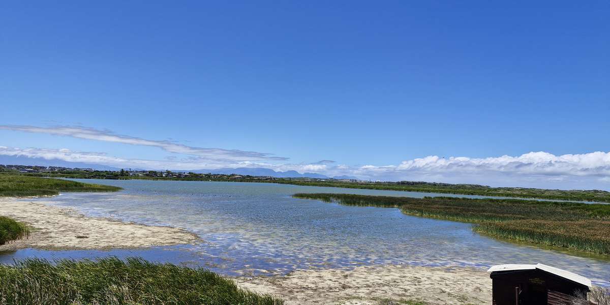 False Bay Nature Reserve: Rondevlei section 2