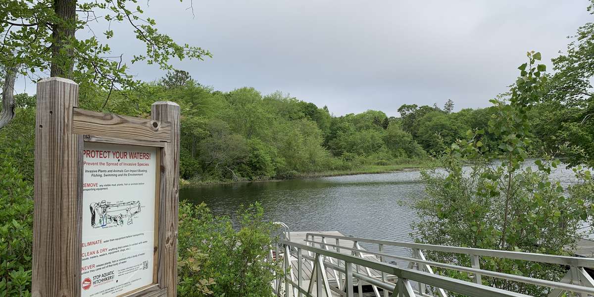 Featured photo of Forge Pond
