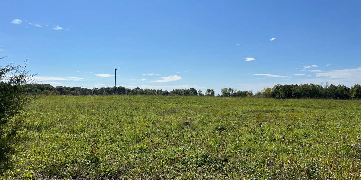 Carver - Nature Center Road Prairie