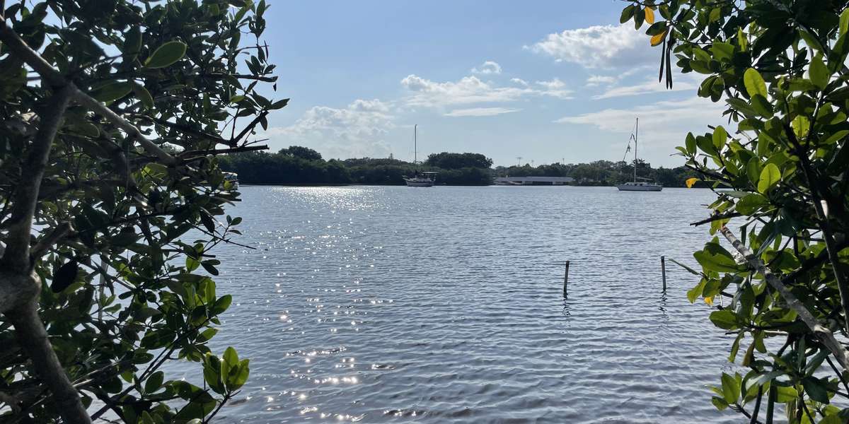 Riverside Park Living Shoreline