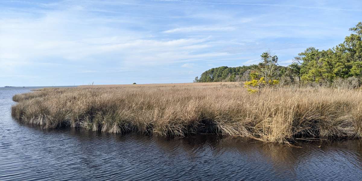 Featured photo of Currituck Banks Reserve