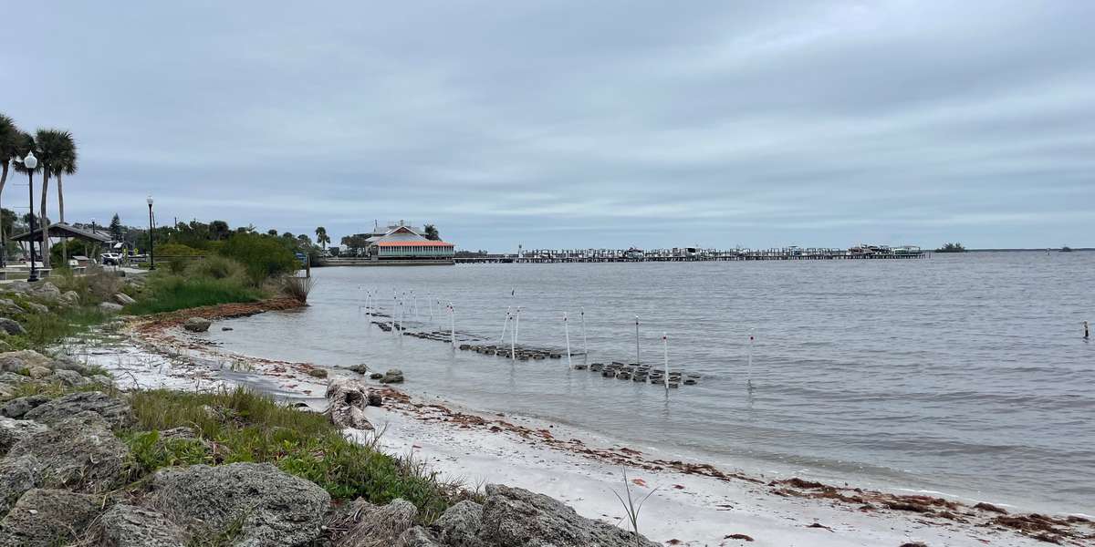 Riverview Park Living Shoreline