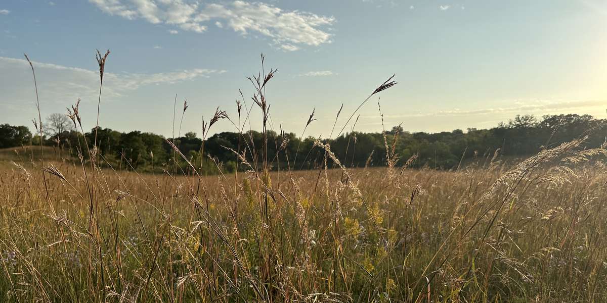 Hyland - Nature Center North