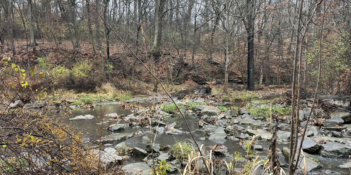 Nine Mile Run -- Streamside Bench