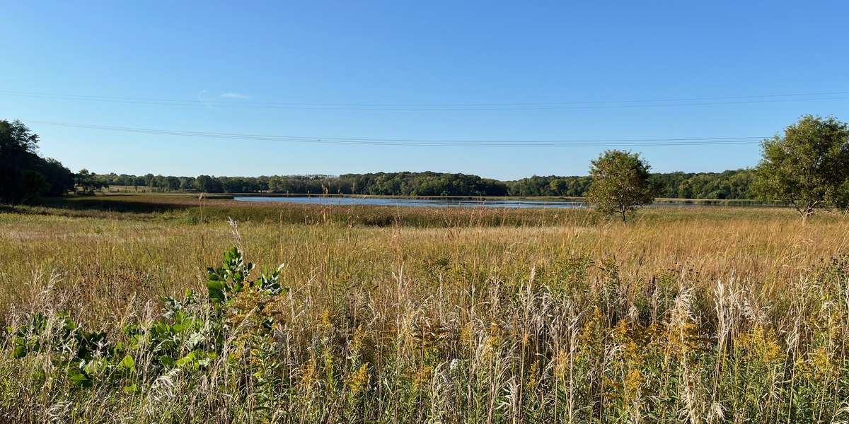 Elm Creek -Lemans Lake