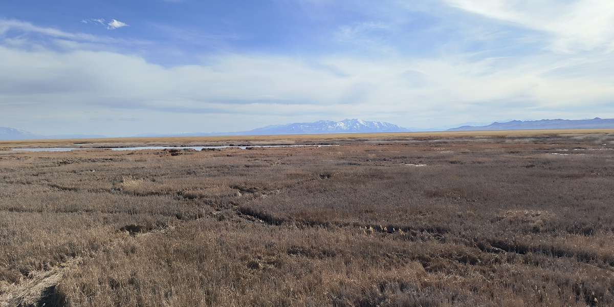 Great Salt Lake Shorelands Preserve Tower