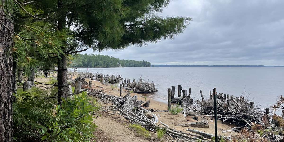 Sebago Lake State Park Beach Restoration Site 2