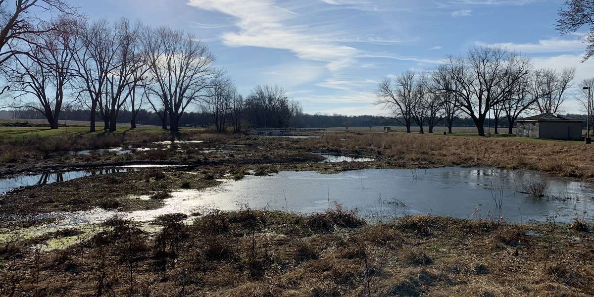 Featured photo of Brooks Park Wetland Creation & Water Quality Initiative