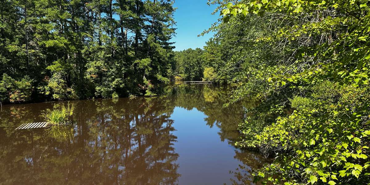 Lake Cedar Run