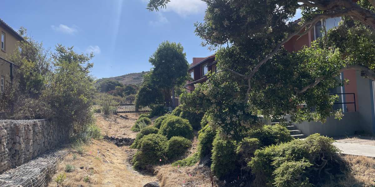 Green Ravine Test Plot, Catalina Island