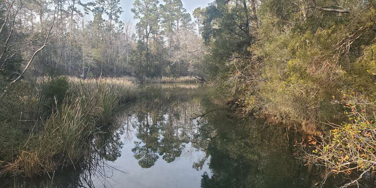 Featured photo of Escambia River
