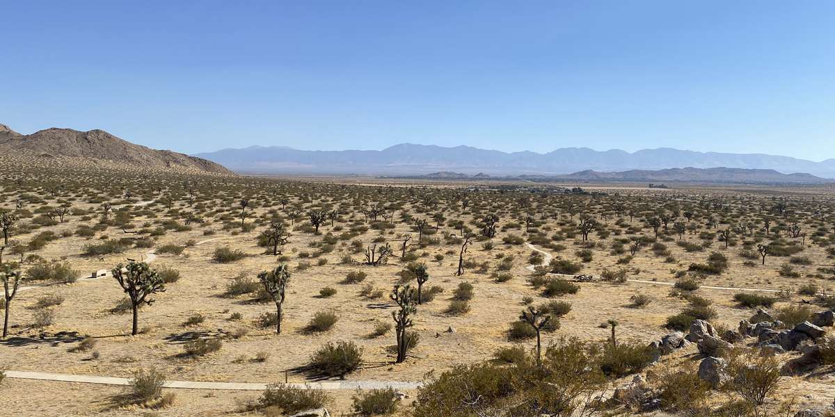 Saddleback Butte