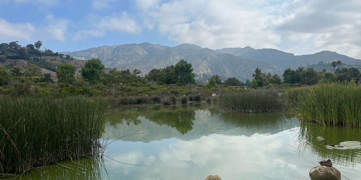 Legacy Park Retention Basin