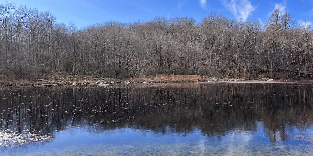 Featured photo of Fishing Creek Rd Firepond (Watershed)