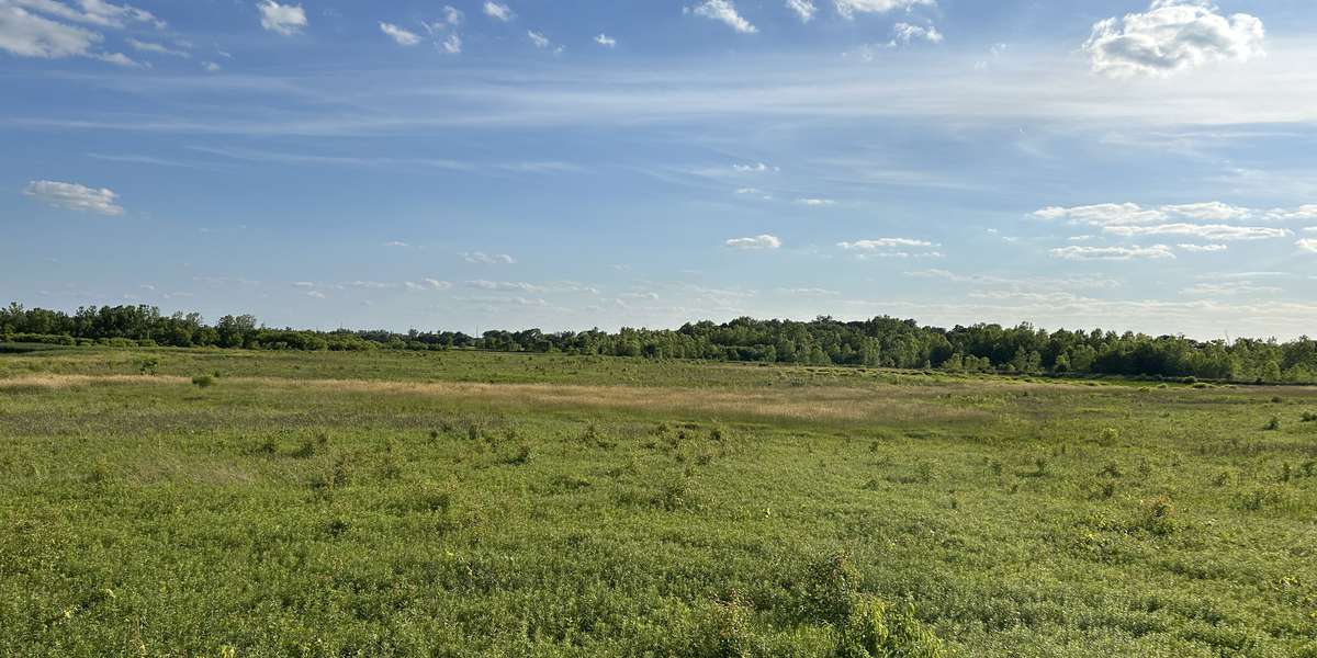 Pickerington Ponds Metro Park - Glacier Knoll