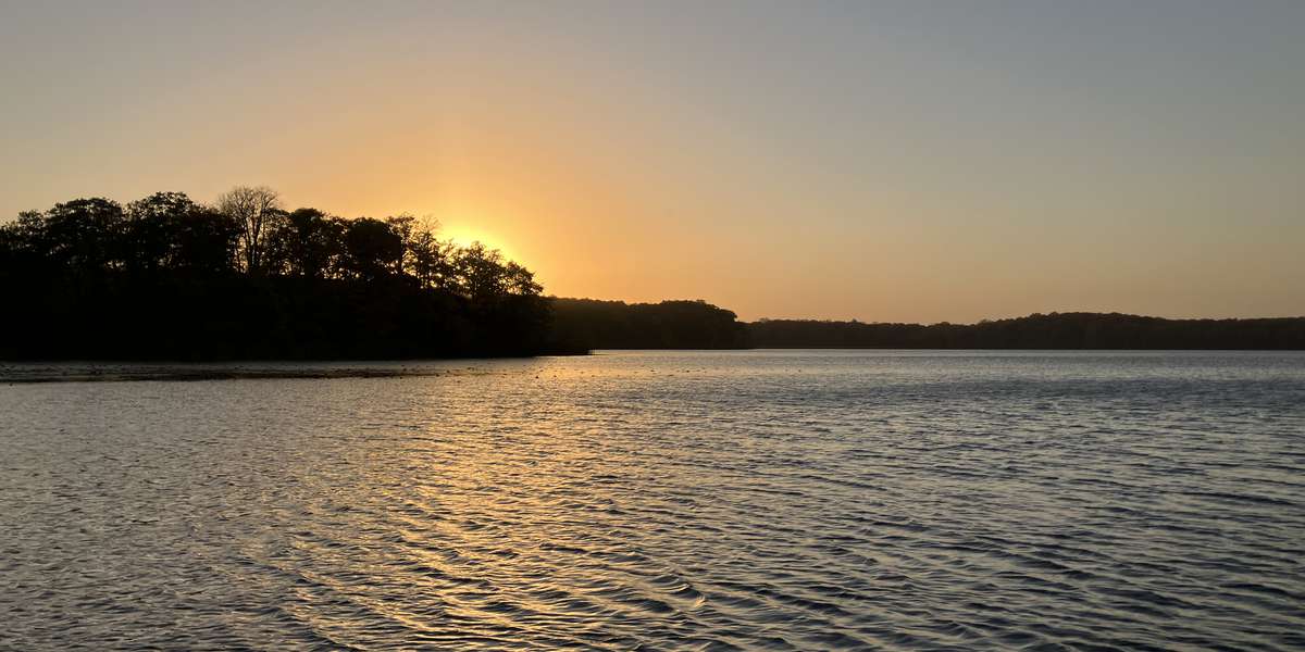 Gale Woods - Whale Tail Lake at Canoe Launch