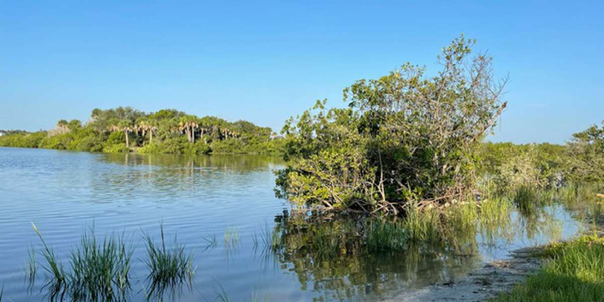 West Parking Living Shoreline