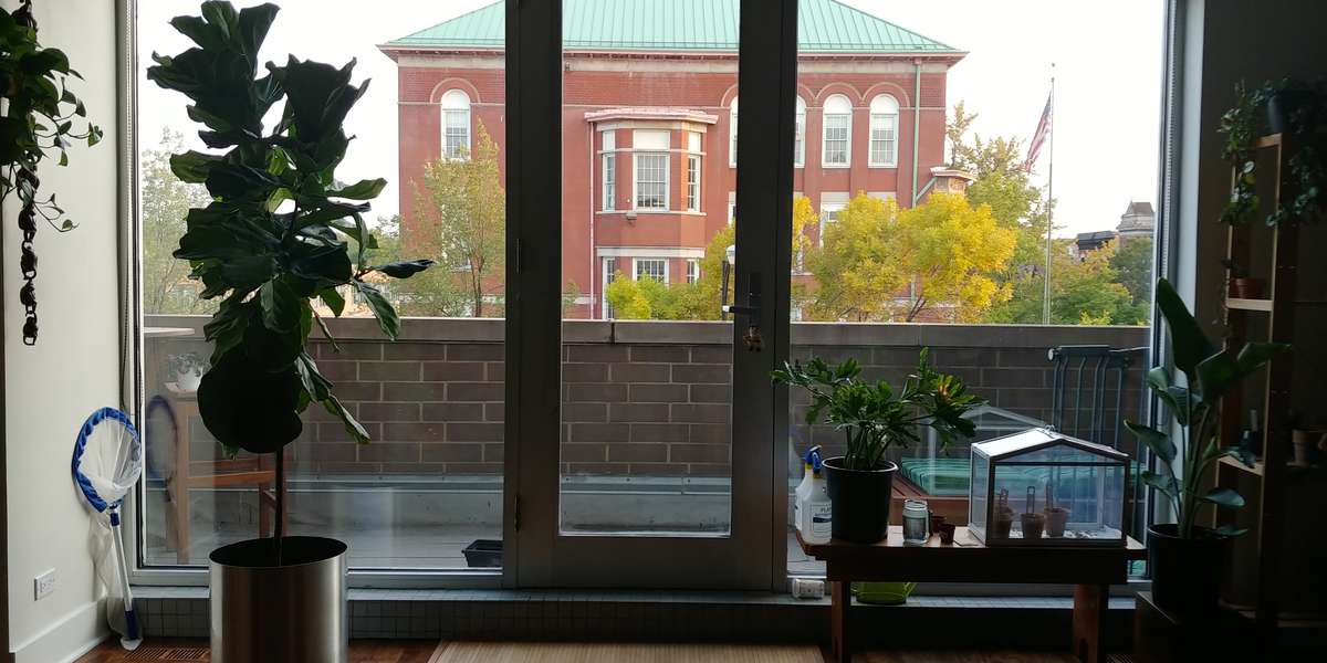 Seasons from a window