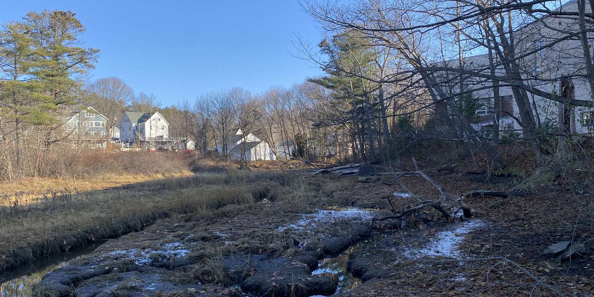 Salt Marsh View