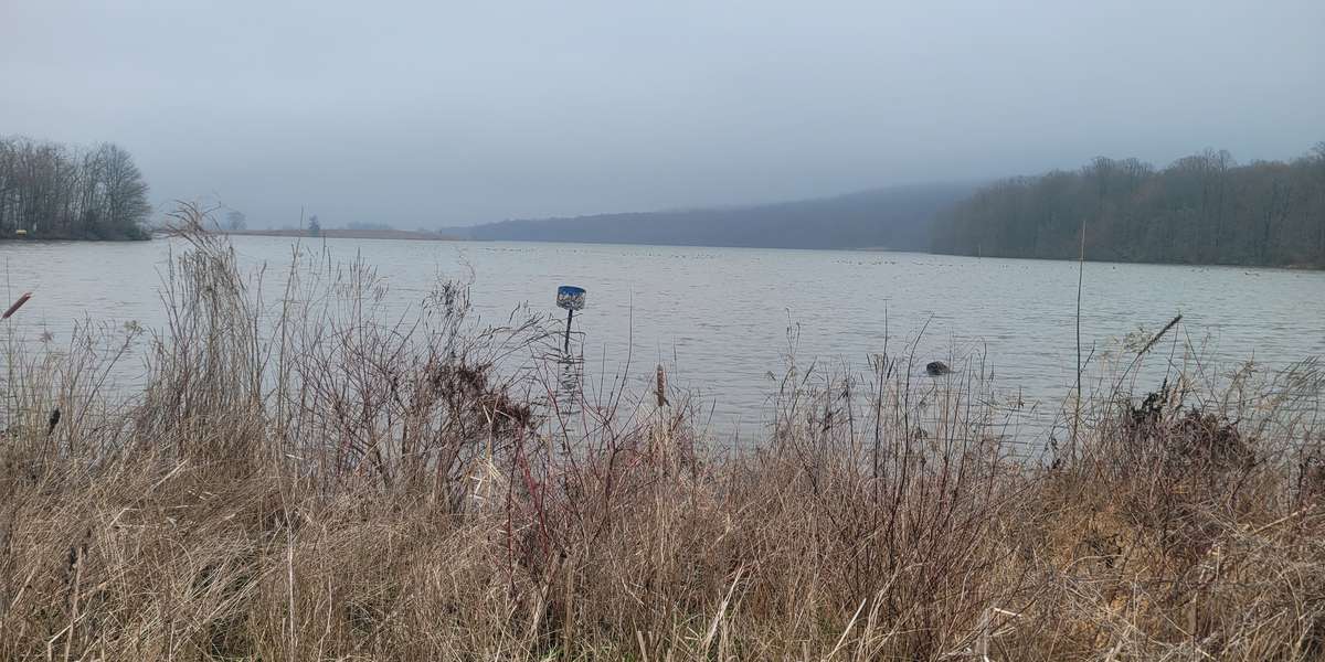 Stop 1 - Middle Creek Lake / Waterfowl Habitat