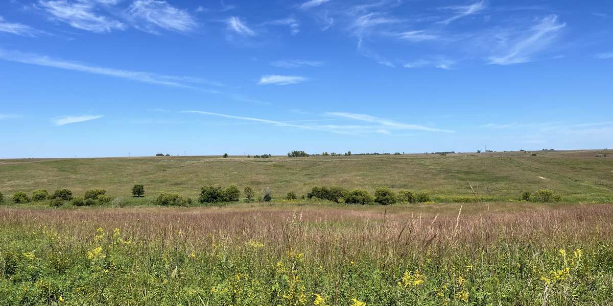 Overlook Trail