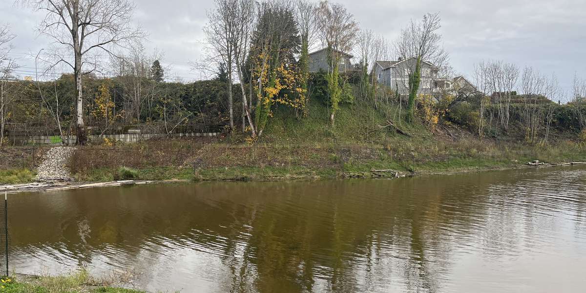 Little Squalicum Estuary - Trail Station