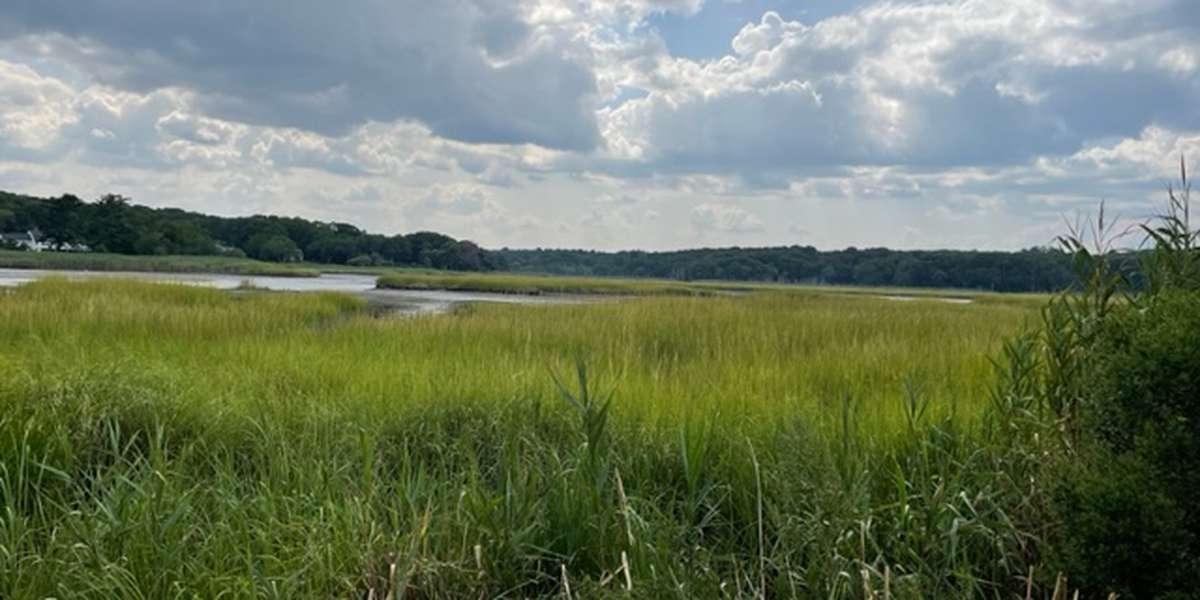 Sunken Meadow Salt Marsh Restoration