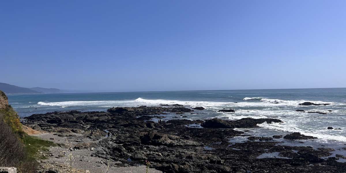 Featured photo of Tide Pool/Seals